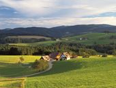 Frühlingswochen - Bergfrühling | 3ÜN