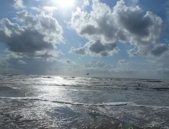 Top Angebot: Special-Urlaubswochen - Haus am Watt