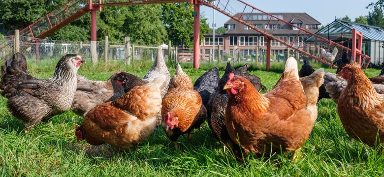 Romantik Hotel Jagdhaus Eiden am See: Das perfekte Osterfest