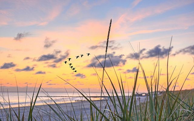 Ostseestrand Juliusruh